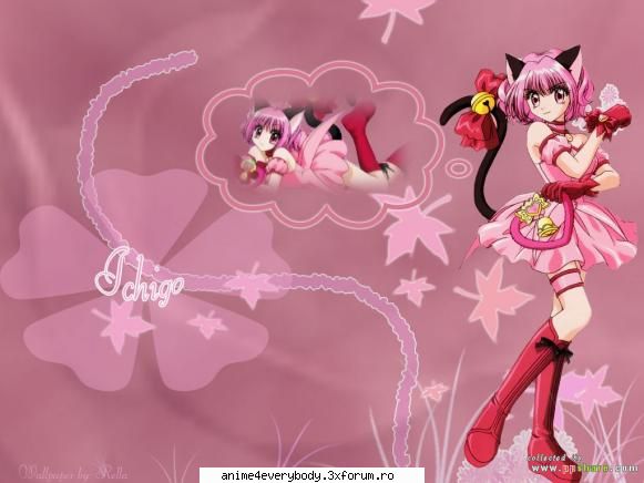 poze zoey frumusica mea