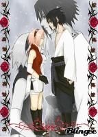 nr 49 sasusaku