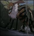 faine poze nu?        :zzz:  :zzz:  :nod:  :nod: poze naruto