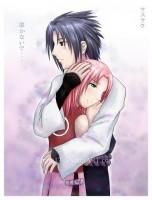 nr 43 sasusaku