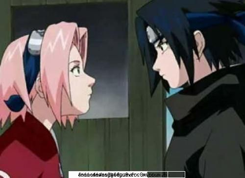 nr 45 sasusaku
